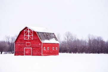Codey Wicks - Winter - Lone Red Barn II