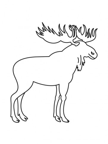 Line Art - Moose - Sketch