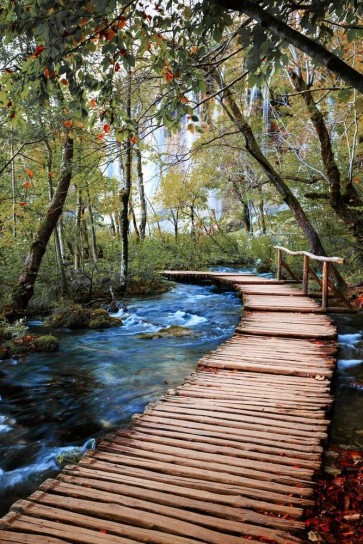 Renée Pehr - Forest River With Walkway IV