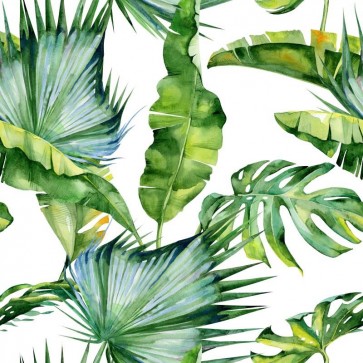 Tropical leaves