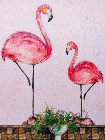 Flamingo love