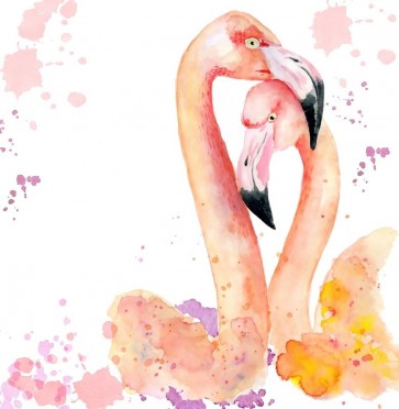 Flamingo love
