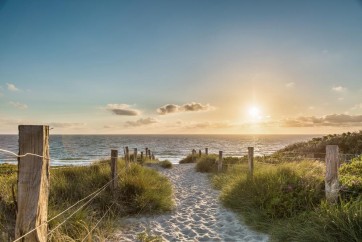 Lidia Maine - Beach Path