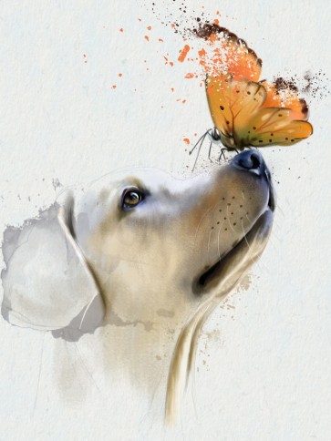 Dog - Golden Retriever with Butterfly