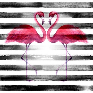 Flamingo love