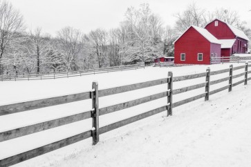 Barn - Red - No Work For Today