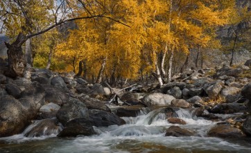 Fall - Quiet River by the House