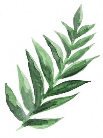 Tropical Leaf