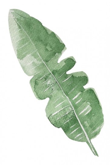 Banana Leaf