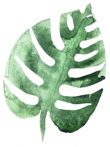 Tropical Leaf