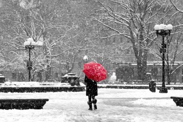 New York - Central Park - Winter Walk