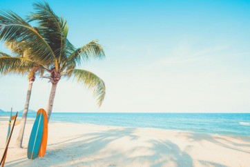 Anna McCormick - Surf Board on Tropical Beach