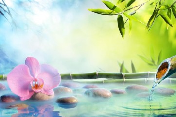 Omar Olavie - Zen Scene Featuring Orchid and Bamboo fountain