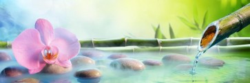 Omar Olavie - Zen Scene Featuring Orchid and Bamboo fountain