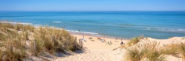 Lidia Maine - Beach Dune