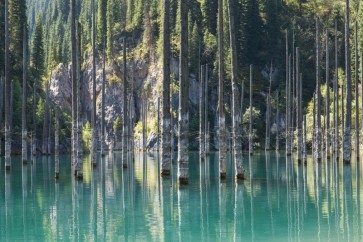 British Columbia - Flooded Forest by the Mountain