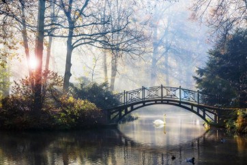 Joey Joe - Autumn - Old Bridge in Autumn Misty Park - Sunset