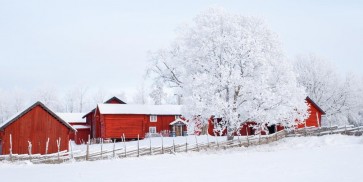 Codey Wicks - Winter - Red House Village III