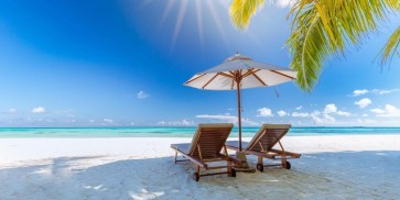 Dolores Flowers - Rest Chairs at the Tropical Beach