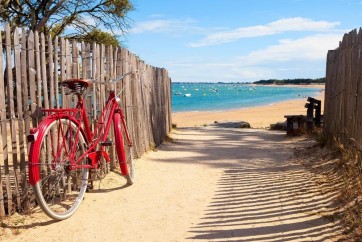 Luis Bond - Path to the Beach - Bicycle