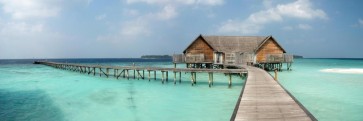 Dolores Flowers - Wooden Hut on Tropical Bridge