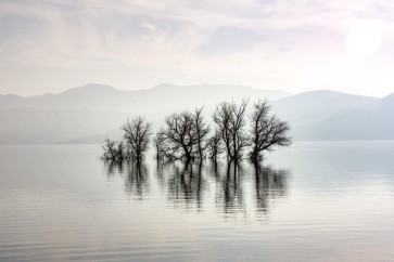 Josh Zdeslav - The Lone Trees