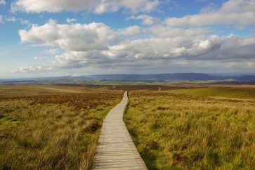Alan Tully - Celtic Afternoon