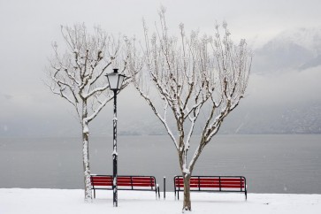 Dylis Bevan - Winter - Red Bench - Invitation