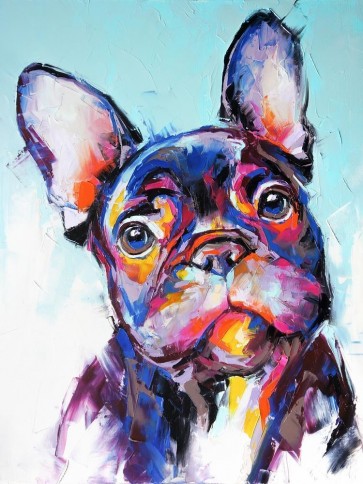 Geir Bragi - Dog - Colourful