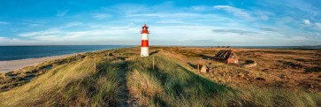 Finch Love - Lighthouse Next To Celtic Farm