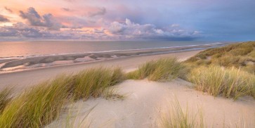 Luis Bond - Beach Dune