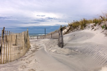 Lidia Maine - White Sandy Beach II