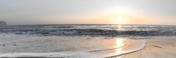 Doreen Sharp - Seascape - Sunset