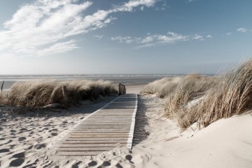 Joseph Sohm - Beach Path I