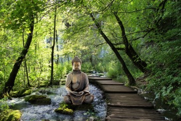 Renée Pehr - Forest Waterfall With Buddha