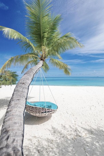 Dolores Flowers - Swing Chair at The Beach II