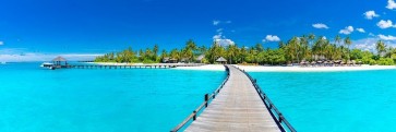 Ann Gavril - Tropical Jetty
