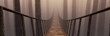 Frank Morse - Rope Bridge - Misty Day