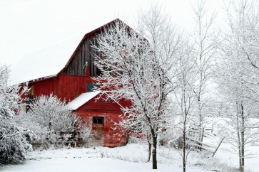 Codey Wicks - Winter - Lone Red Barn in the Forest V