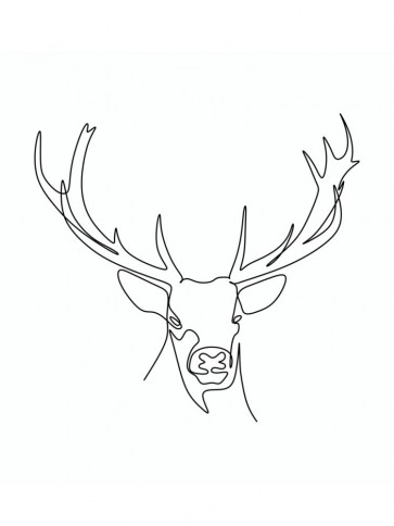 Line Art - Deer - Showing His Beautiful Antlers