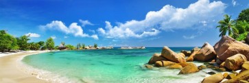 Fred Mouse - Panorama view of Beach With Stones