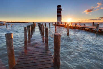 Finch Love - Lighthouse At Lake Neusiedl, Austria II