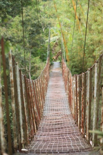 Frank Morse - Rope Bridge - Rusty