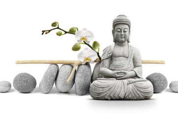Darija Mile - Buddha in Meditation With Orchids II