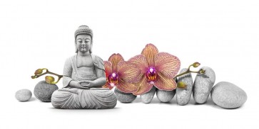 Darija Mile - Buddha in Meditation With Orchids I