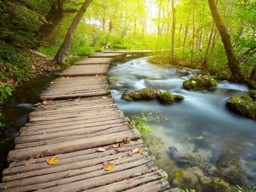 Renée Pehr - Forest River With Walkway III