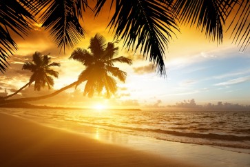 Ann Gavril - Tropical Beach Sunset In Thailand