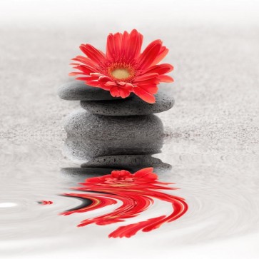 Omar Olavie - Red Frangipani on the Shore