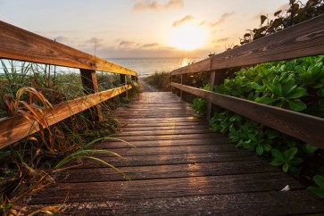Roderick Nichols - Wooden Walkway - Into Summer