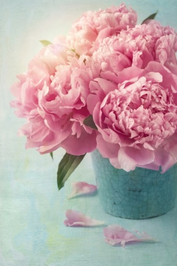 Bouquet of Pink Flowers